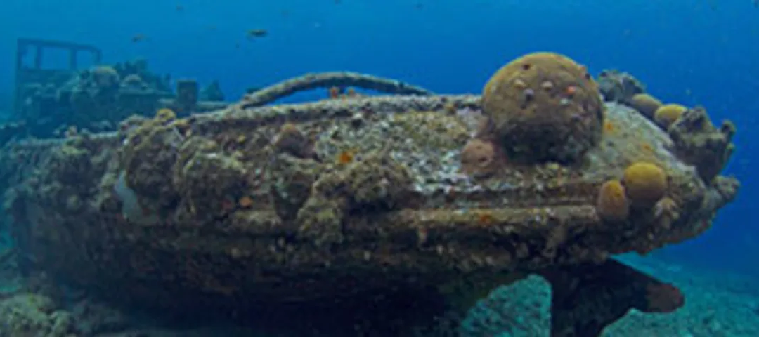 Tugboat Beach – Snorkeling at a Sunken Tugboat